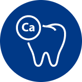 Ícone para mostrar que o clareamento dental caseiro da New White é rico em cálcio